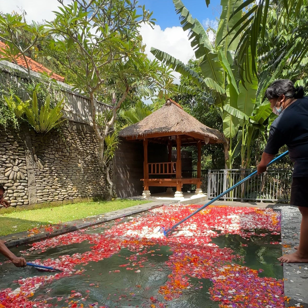 people cleaning pool flower in bali 